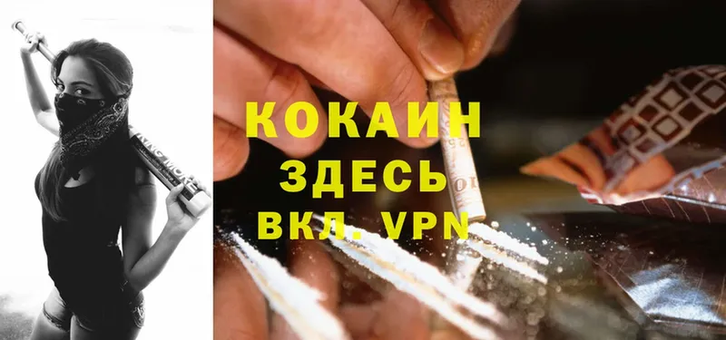 COCAIN Fish Scale  как найти наркотики  Красноперекопск 