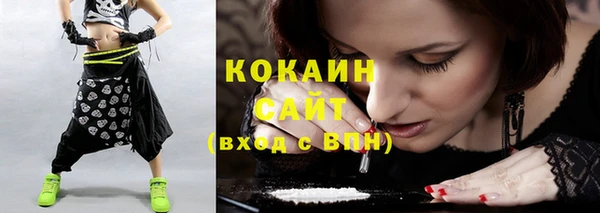 бошки Новозыбков