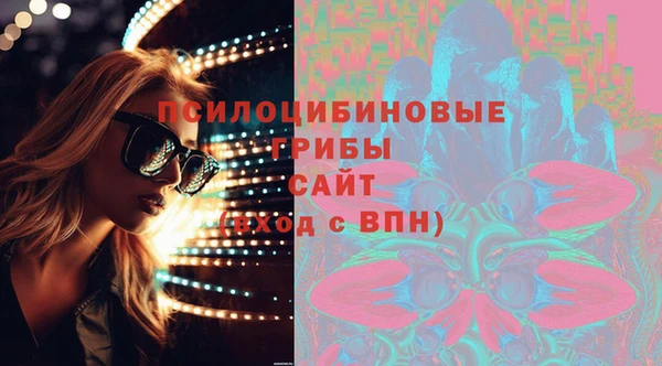 спиды Новодвинск