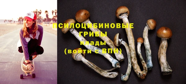 эйфоретик Нефтекумск