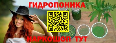 гидропоника Гагарин