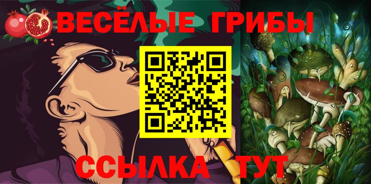 Галлюциногенные грибы Psilocybe Красноперекопск