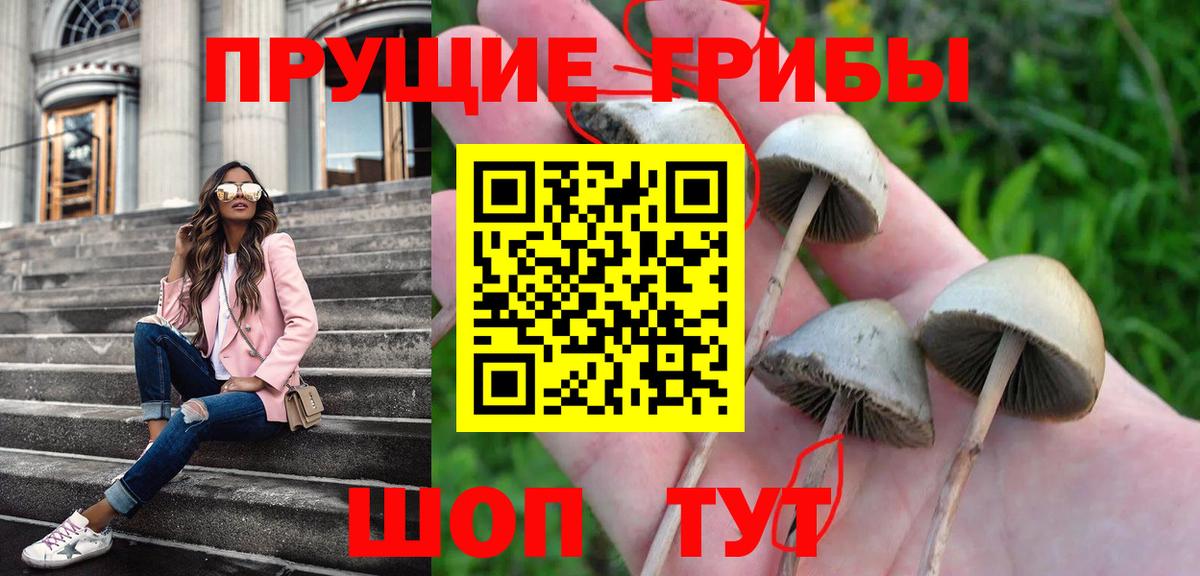 Галлюциногенные грибы Cubensis  Вход с VPN  наркошоп  Красноперекопск 